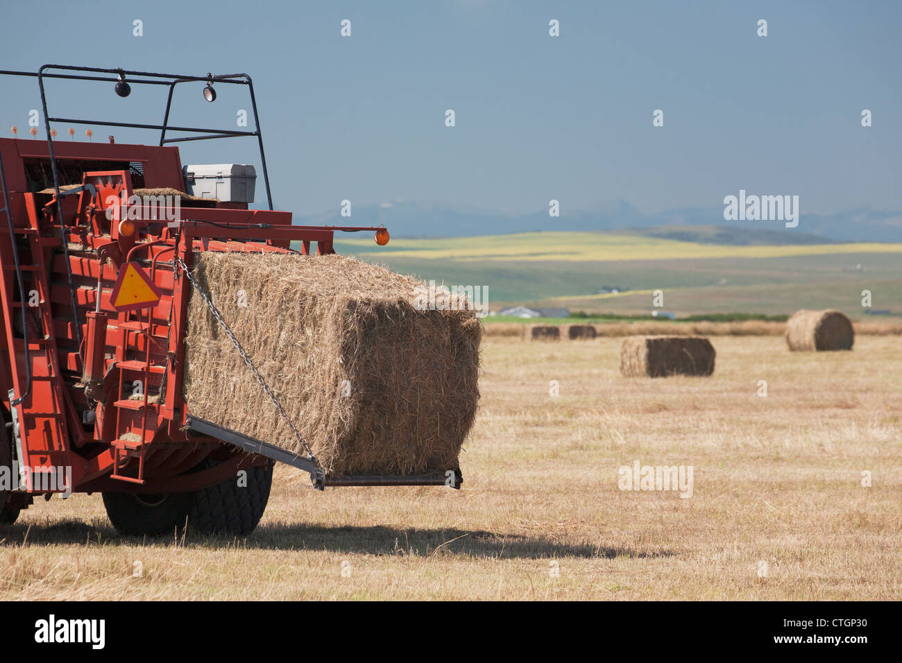 La face arrière de la ramasseuse-presse à foin balle sortant et la floraison de canola dans la distance avec un ciel bleu ; Alberta, Canada Banque D'Images