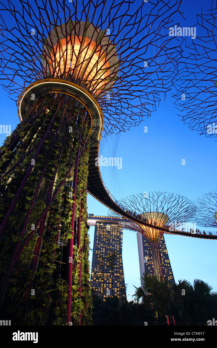 Crépuscule à Supertree Grove dans les jardins de la baie de Singapour avec le Marina Bay Sands à l'arrière-plan. Banque D'Images