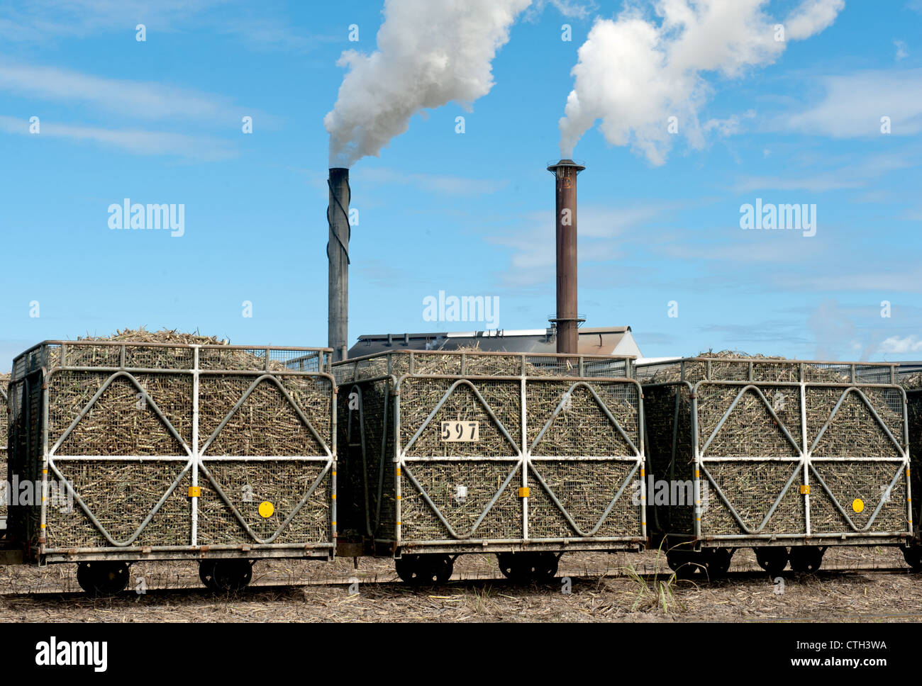 La canne à sucre transportés dans des trémies sur rail au moulin à sucre à Tully Tully, Queensland, Australie Banque D'Images