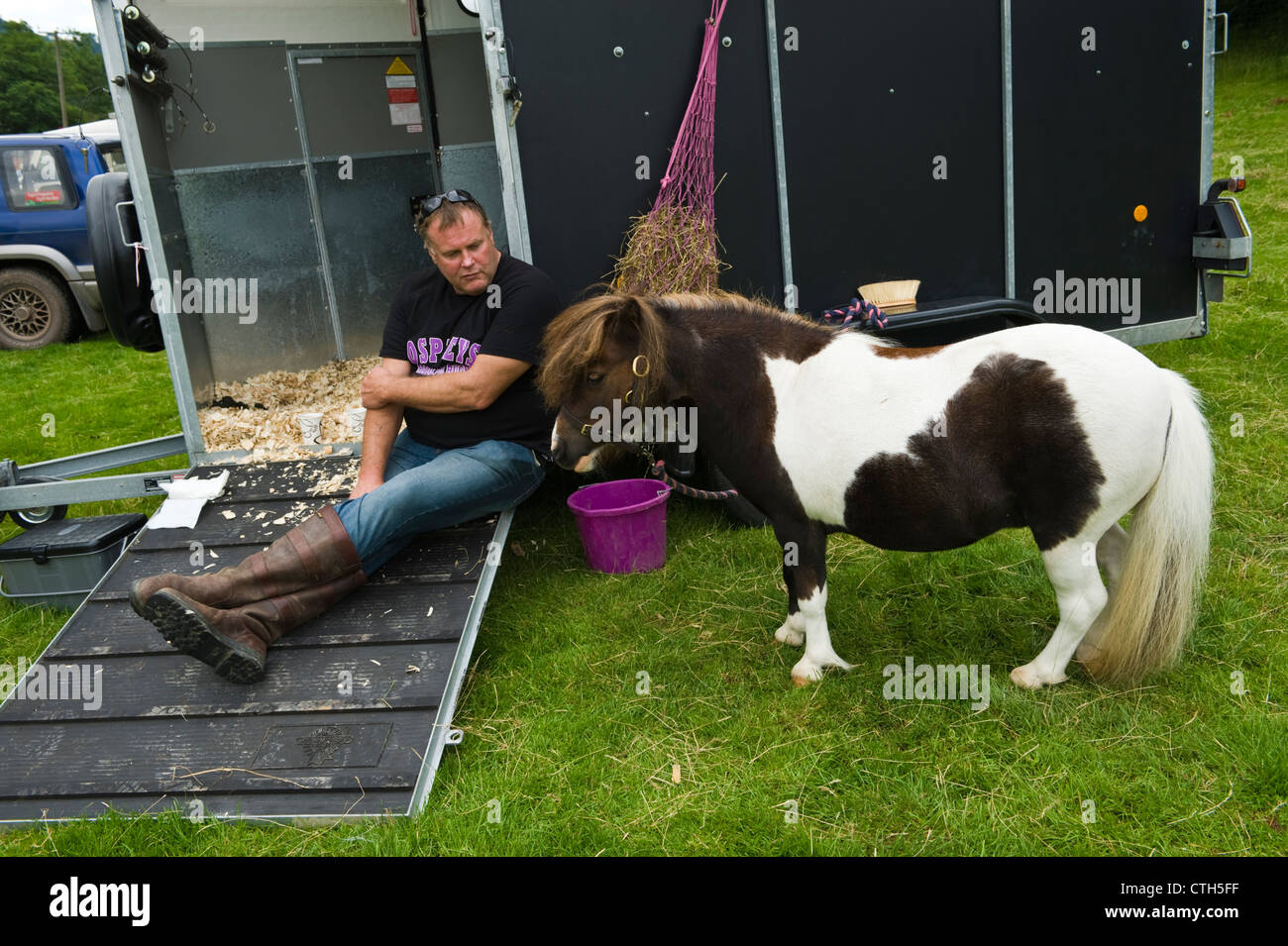 Homme assis sur hayon de horsebox avec son poney Shetland miniature au petit pays rural voir ferme à Cwmdu Powys Pays de Galles UK Banque D'Images
