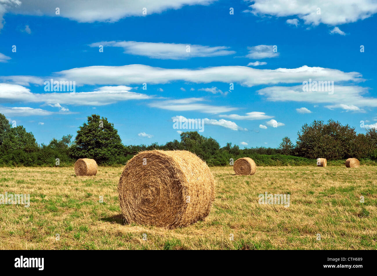 Balle de paille sur les terres agricoles - Indre-et-Loire, France. Banque D'Images