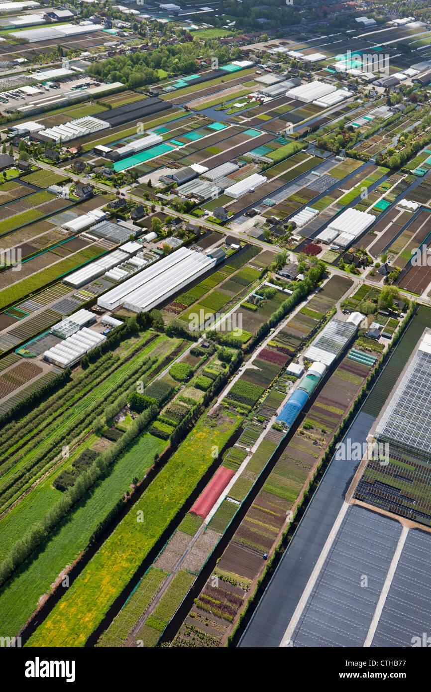 Les Pays-Bas, Boskoop, de l'horticulture. Vue aérienne. Banque D'Images