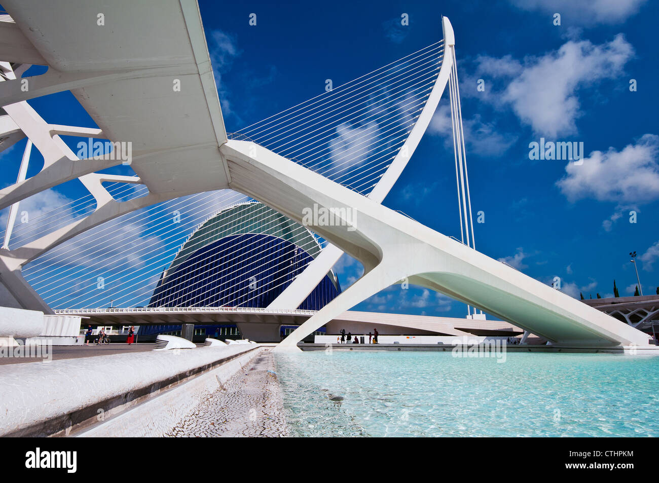 Musée des sciences Príncipe Felipe et l'Assut de l'Or Bridge, Cité des Arts et des Sciences, Valence, Espagne Banque D'Images