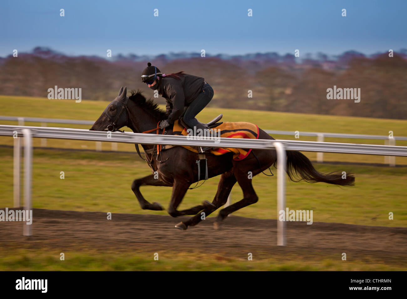 Cheval de course au galop Banque de photographies et d’images à haute résolution Alamy