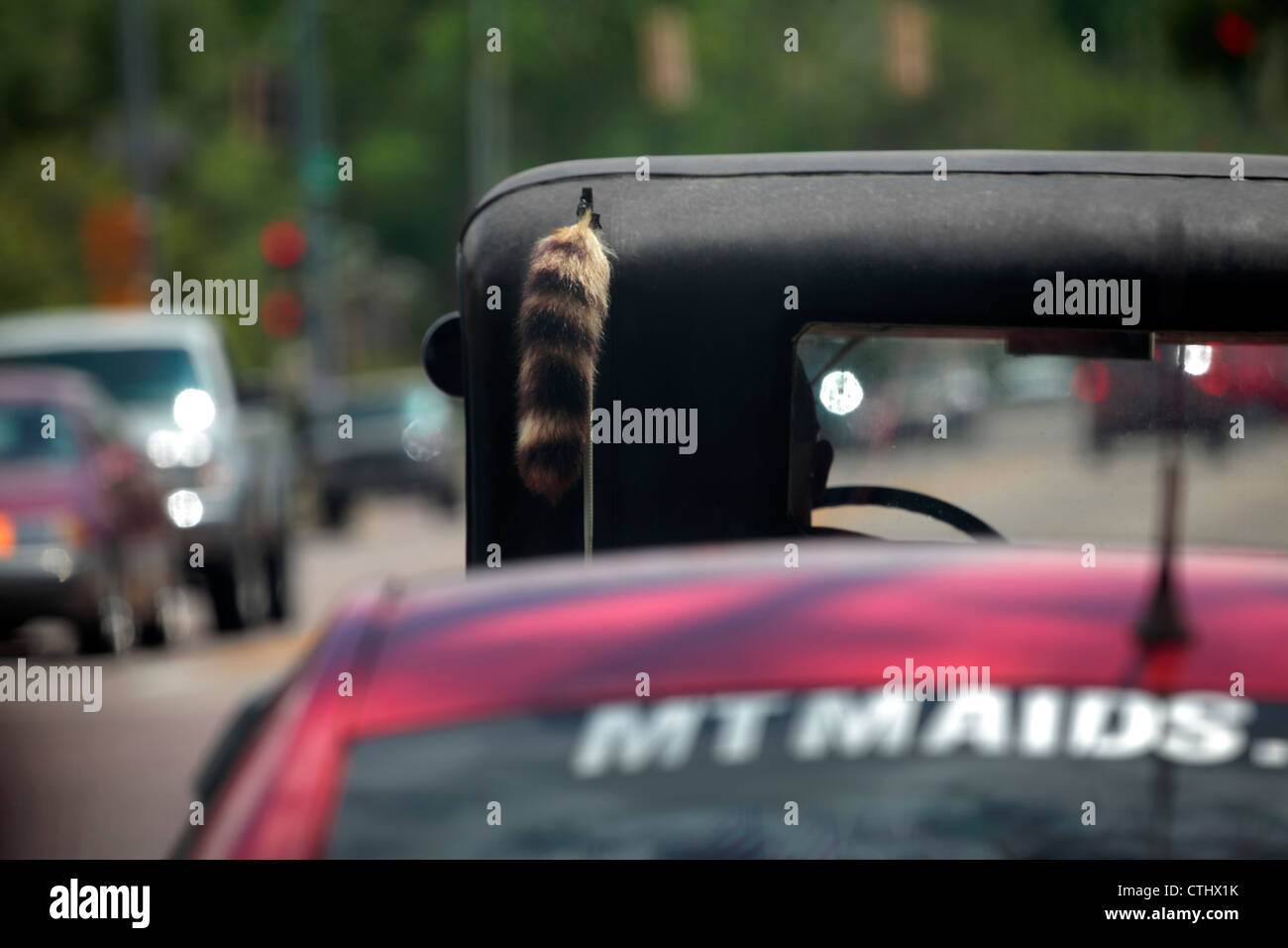 Une voiture classique avec une queue de raton laveur décoration sur le toit. Banque D'Images