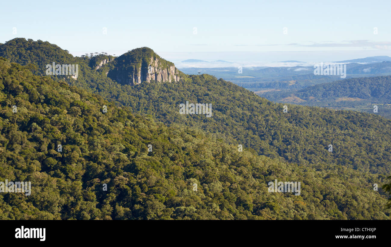 Dans la région montagneuse du sud de Santa Catarina Banque D'Images