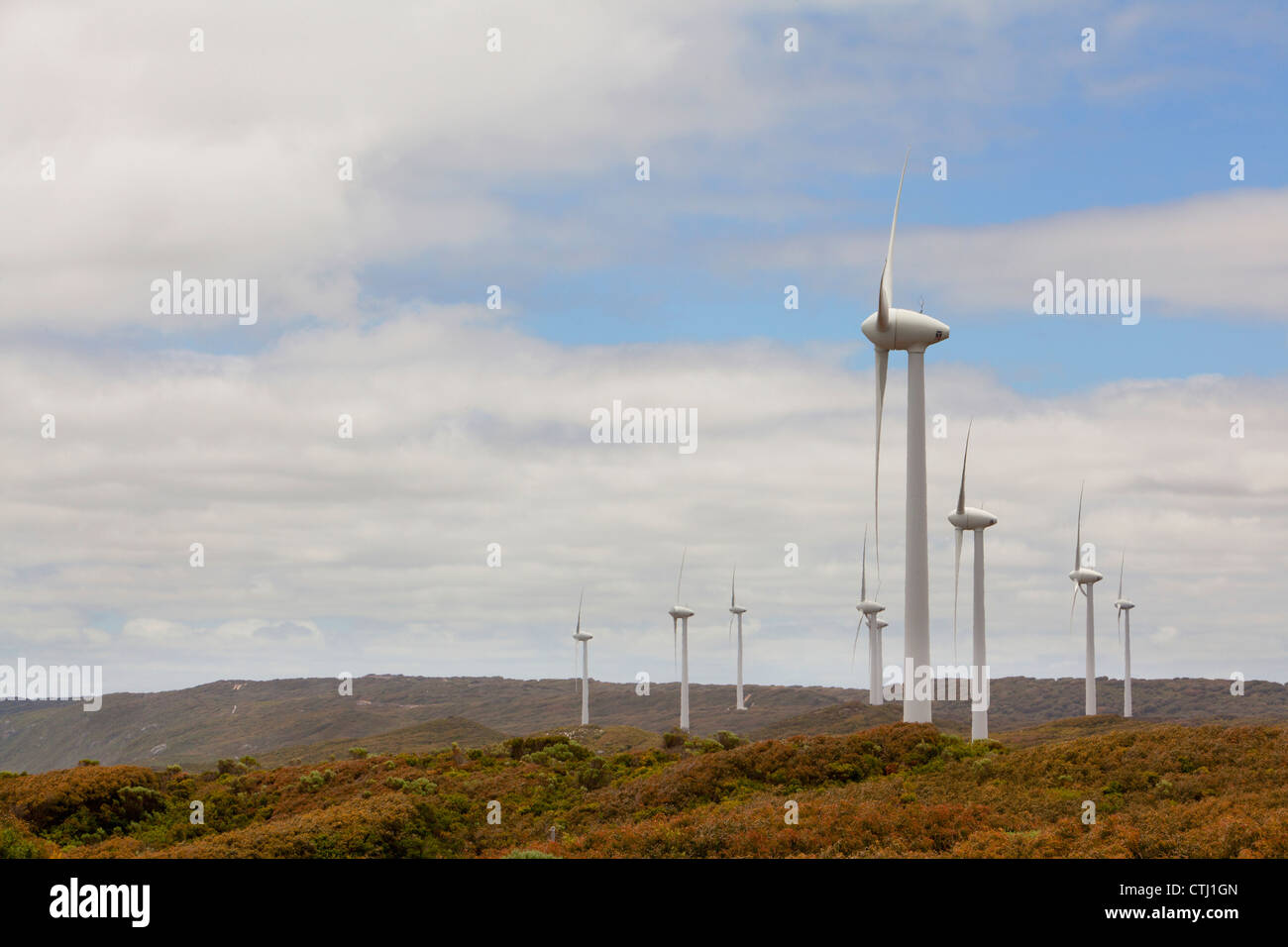 Les Éoliennes à l'Albany Wind Farm à Sandpatch ; Albany, Australie occidentale, Australie Banque D'Images