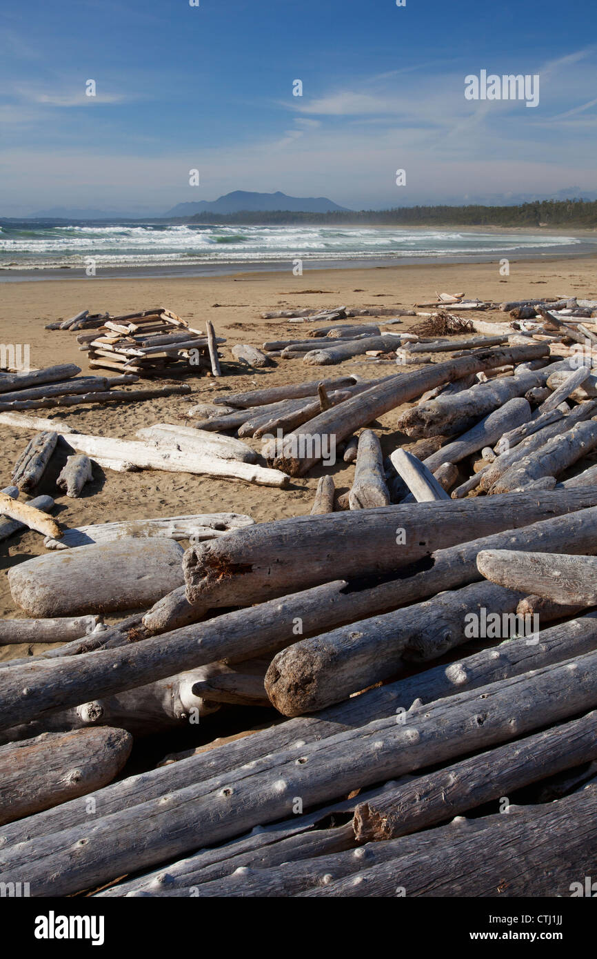 Des piles de journaux et de bois flotté sur la plage de Wickaninnish dans Pacific Rim National Park près de Tofino, Colombie-Britannique, Canada Banque D'Images