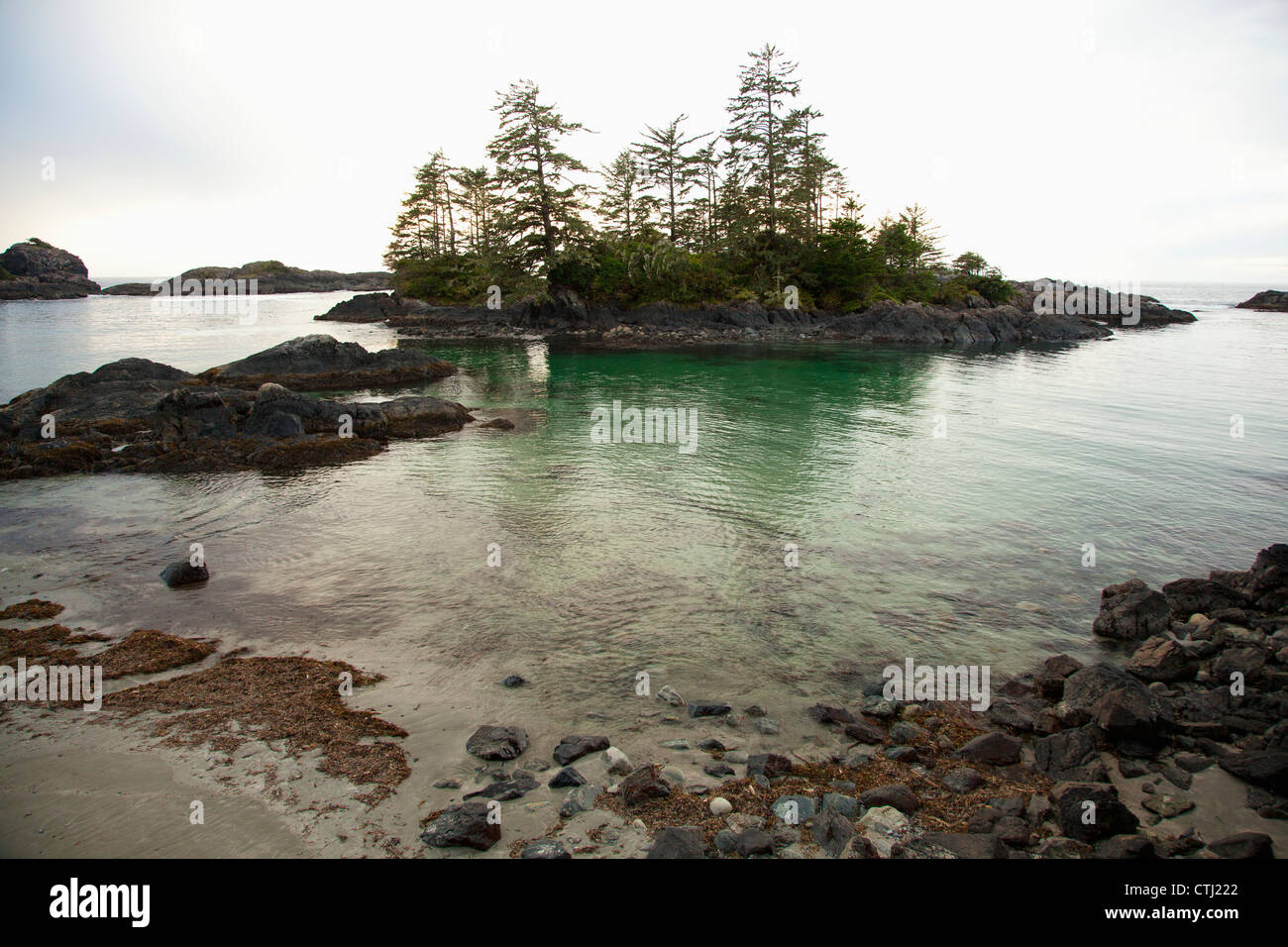 Plage dans le Ucluth Wya Point Campground près d'Ucluelet, sur l'île de Vancouver, Colombie-Britannique, Canada Banque D'Images