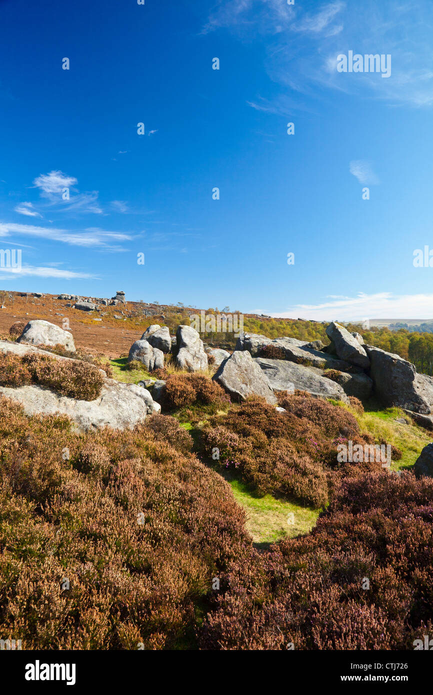 La mère - d'un cas isolé dans le pilier grain meule Parc national de Peak District Derbyshire, Angleterre, Royaume-Uni Banque D'Images