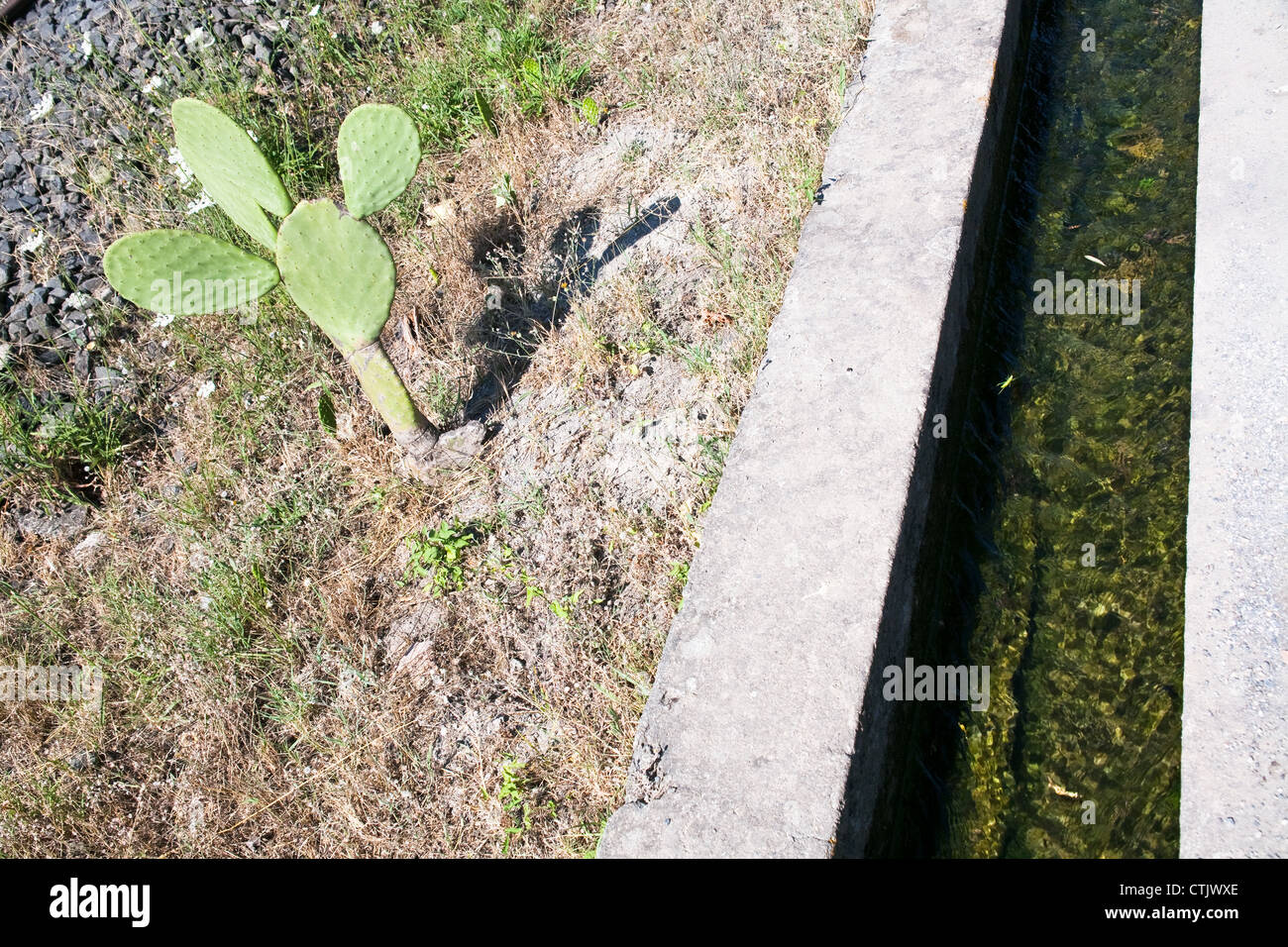 Canal d'irrigation en Sicile Banque D'Images