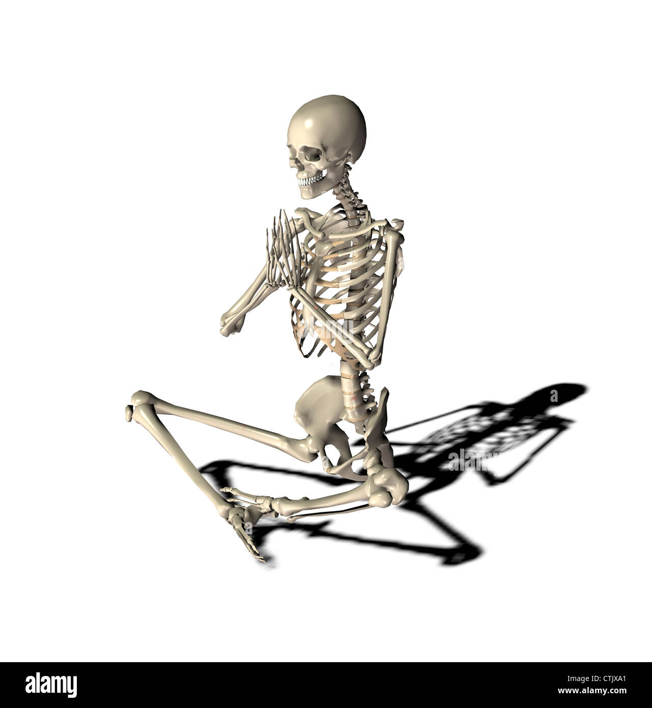 Squelette à la pratique du yoga Banque D'Images