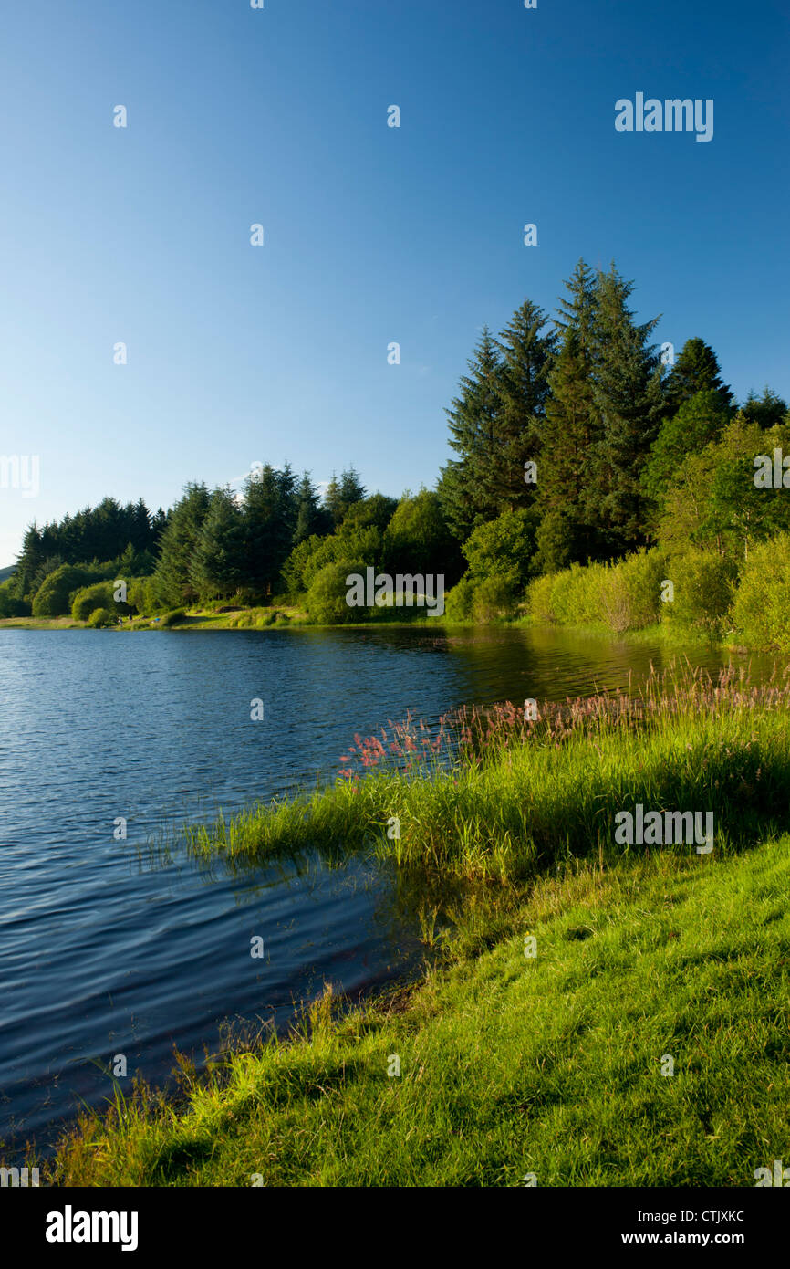 Llwyn-sur-réservoir, Merthyr Tydfil, Brecon Beacons, Pays de Galles Banque D'Images