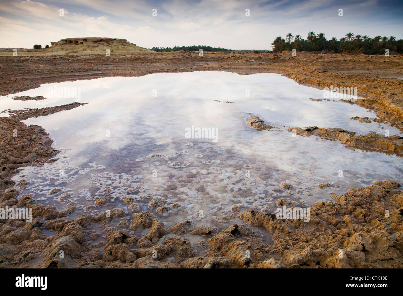 L'eau salée dans un champ désert sec à l'extérieur de la ville de Siwa à l'oasis de Siwa Siwa (Egypte) ; Banque D'Images