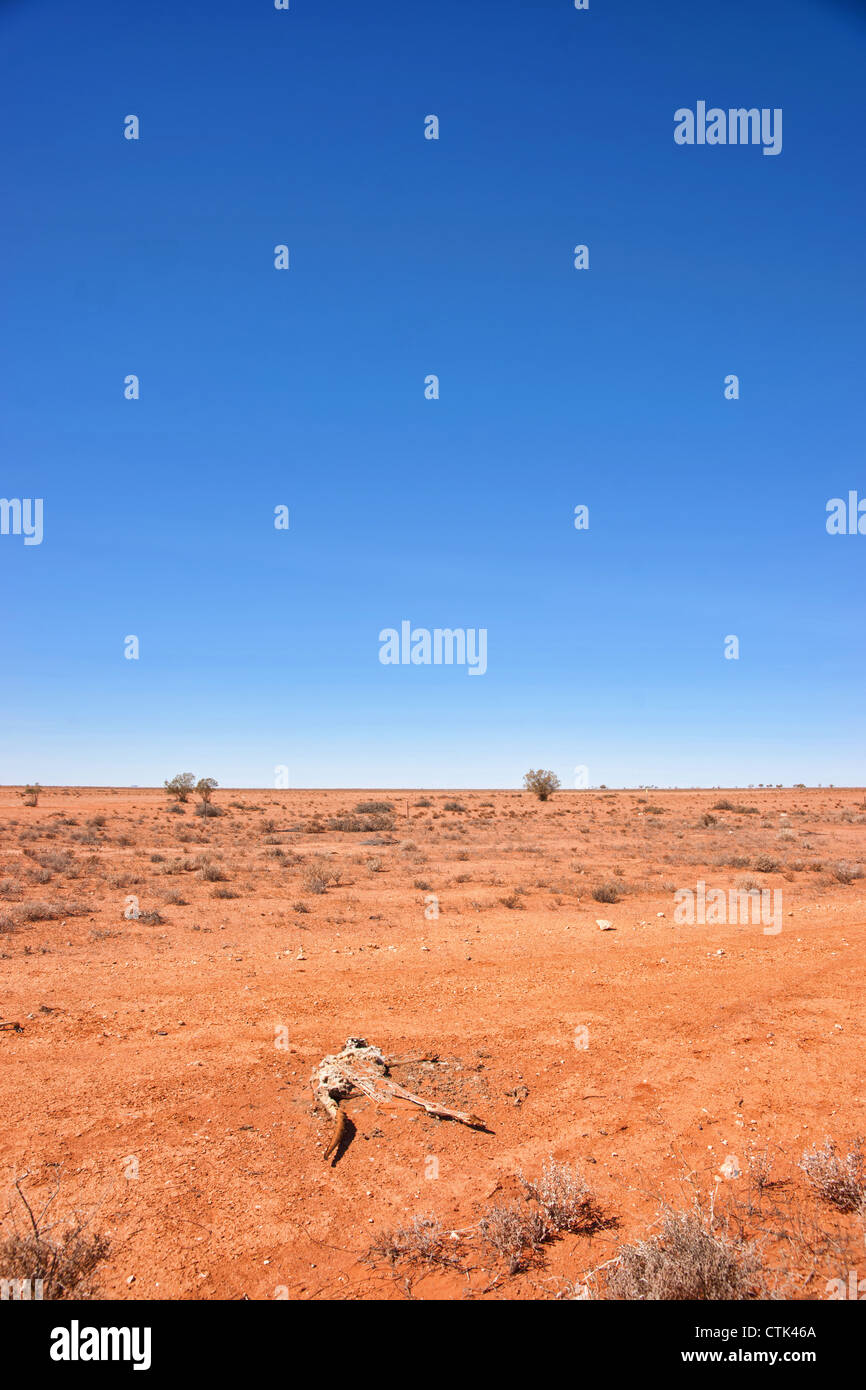 Le désert rouge australien outback est sec et aride Banque D'Images