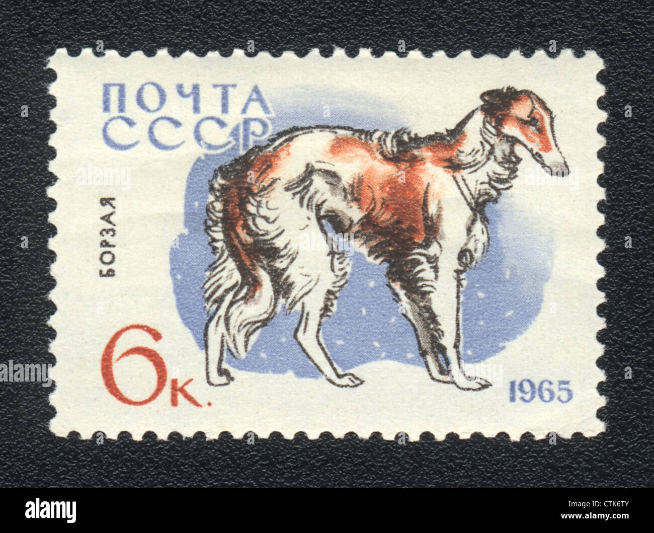 Urss - VERS 1965 : un timbre imprimé en URSS montre greyhound, series races de chiens, vers 1965 Banque D'Images