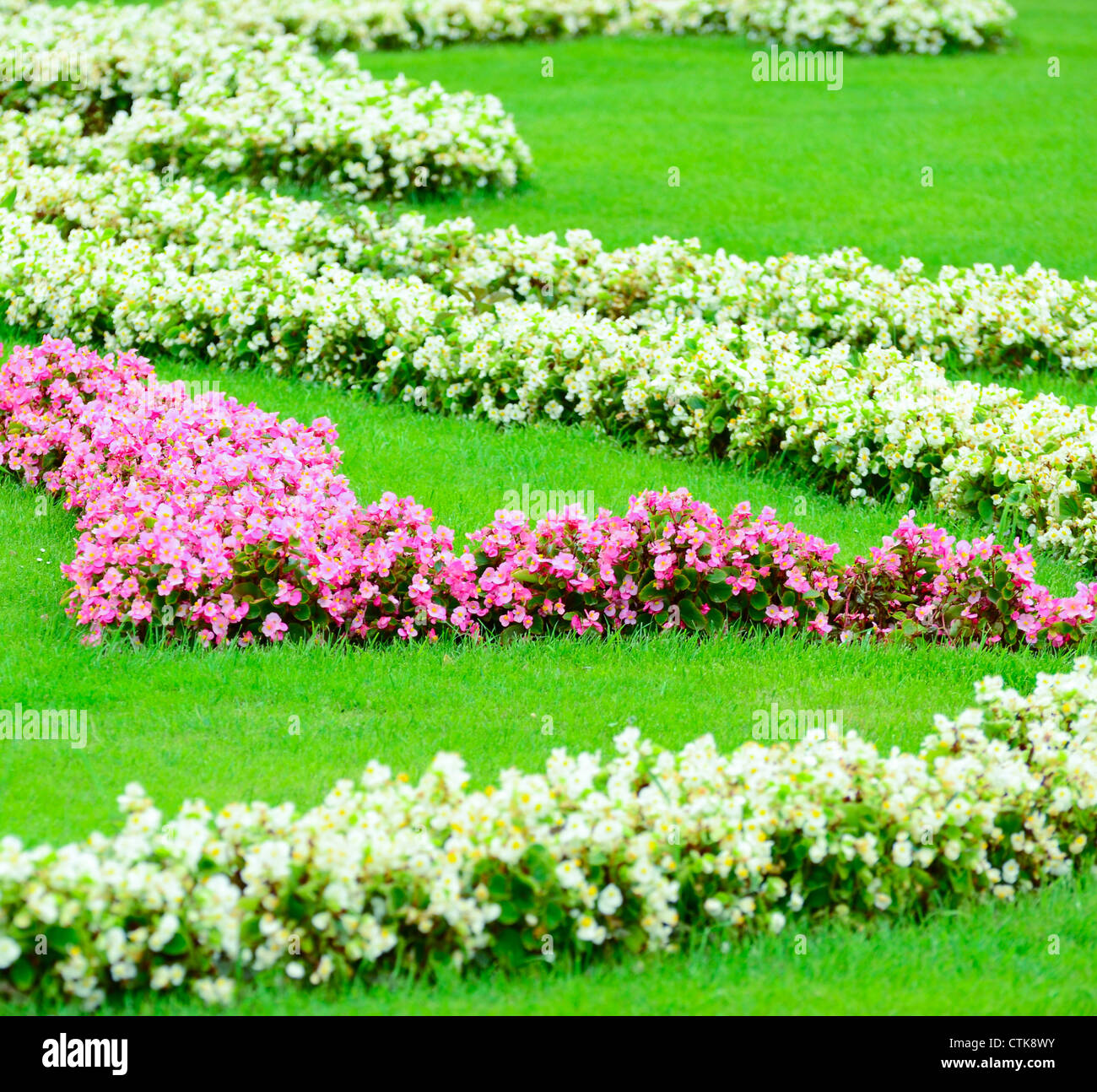 Beau jardin de fleurs au palais de Schonbrunn - Vienne Autriche Banque D'Images