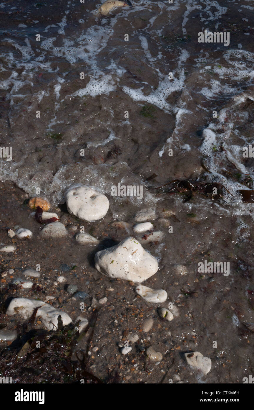 Au fil de l'eau de mer de cailloux galets d'algues Banque D'Images