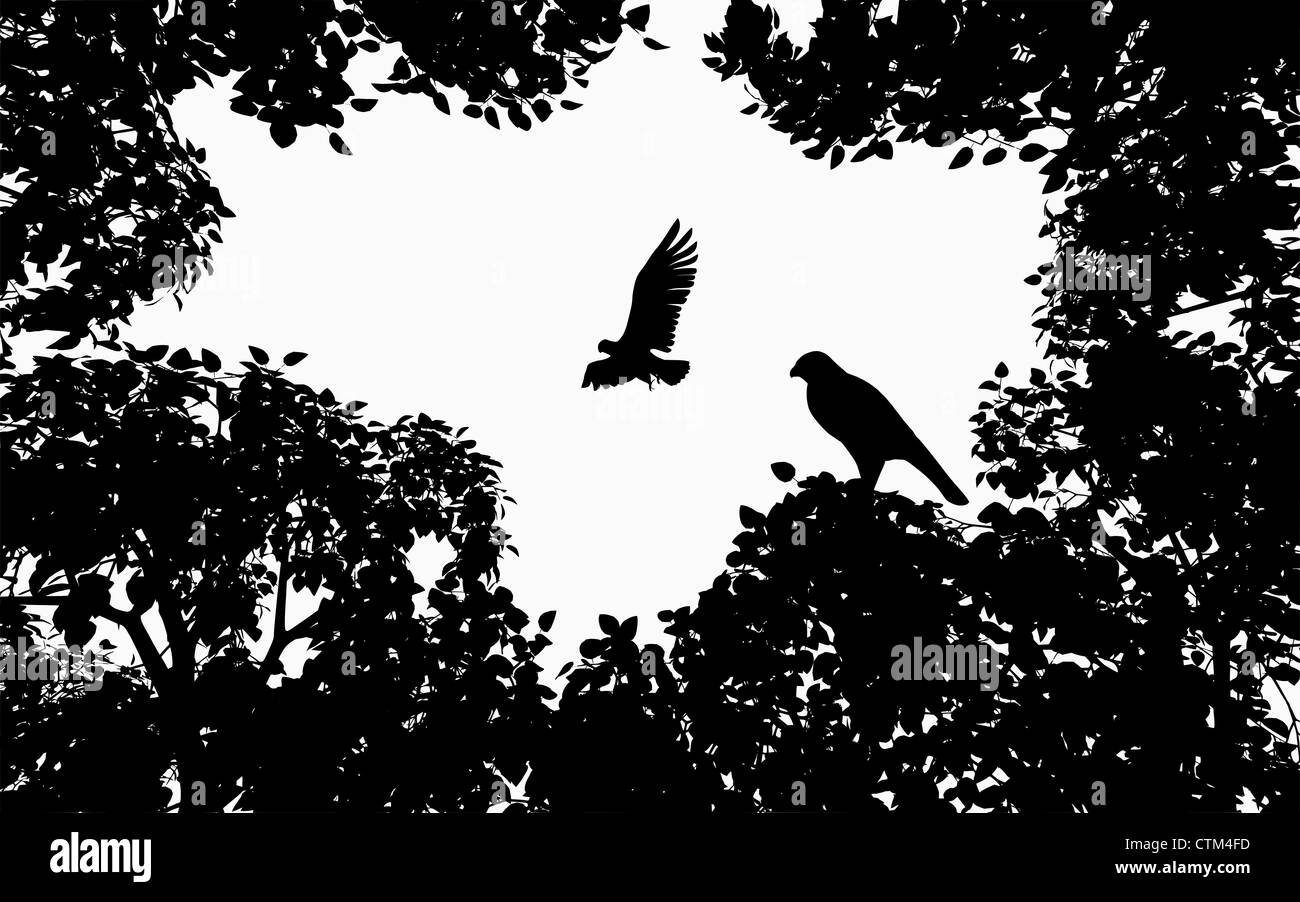 Découper l'illustration (vecteur) de style silhouette d'arbres et de deux oiseaux de proie Banque D'Images