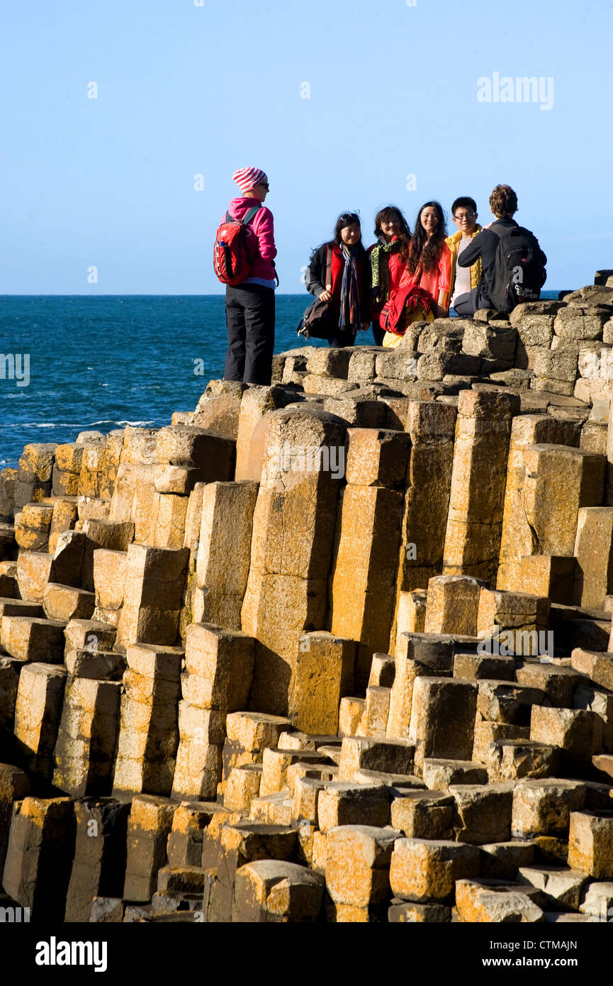 Le site du patrimoine mondial de l'UNESCO, Giants Causeway, North Coast, County Antrim, Irlande du Nord Banque D'Images