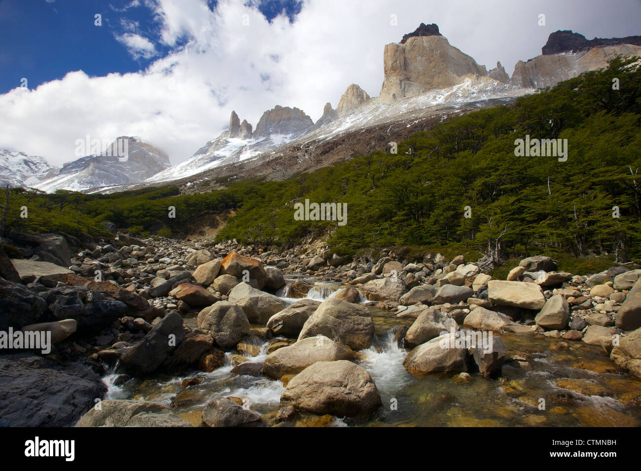 Affichage dans la vallée de la Frances Cuernos del Paine, Parc National Torres del Paine, Patagonie, Chili Banque D'Images