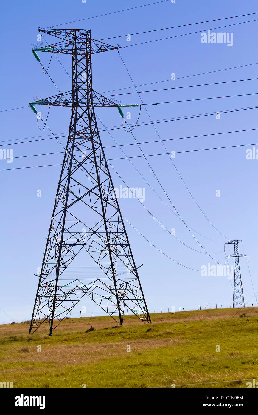 Les lignes d'énergie électrique, Eastern Cape, Afrique du Sud Banque D'Images