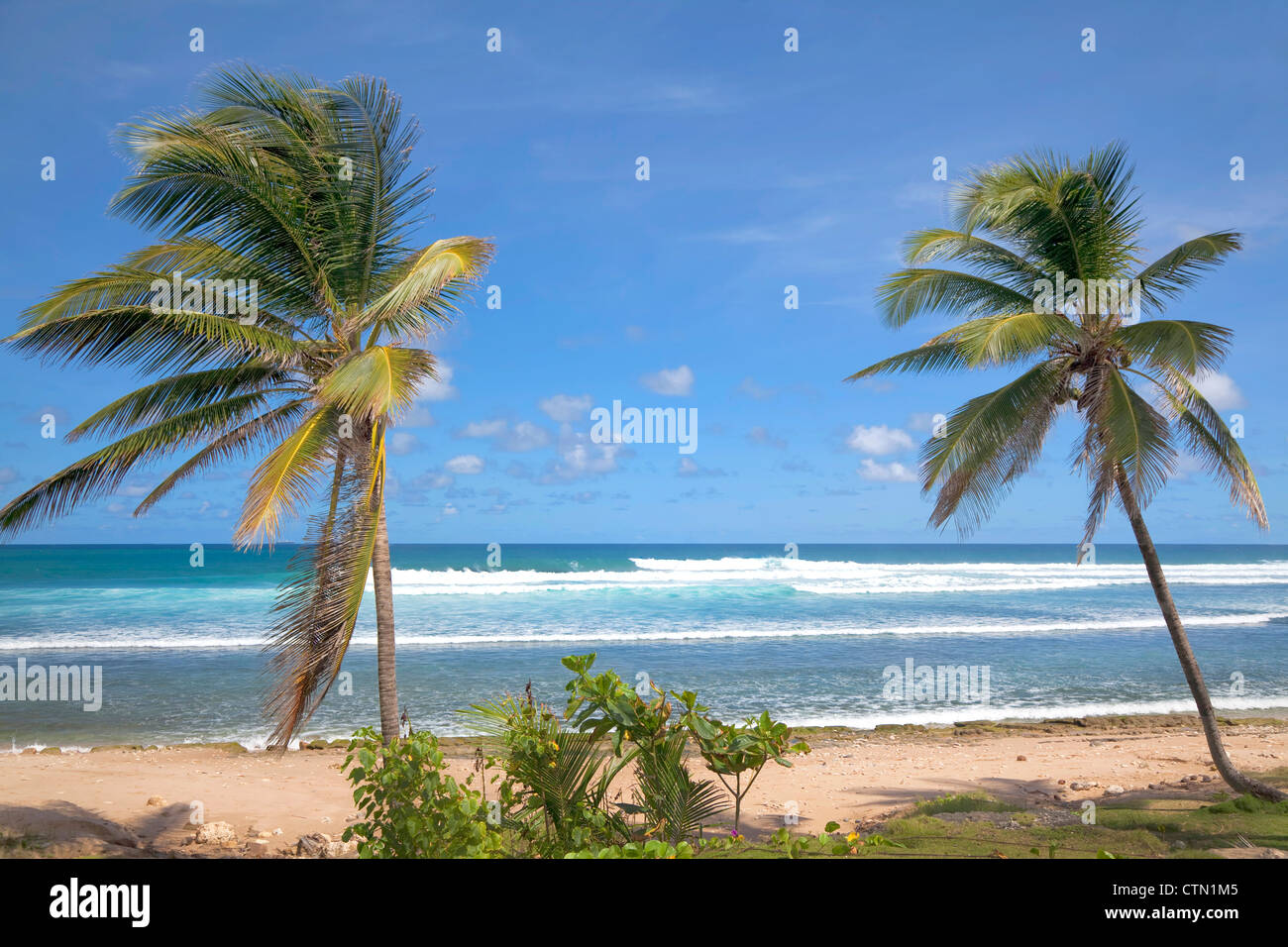 Une plage solitaire à Bethsabée, du côté de l'Atlantique de la Barbade, Petites Antilles Banque D'Images