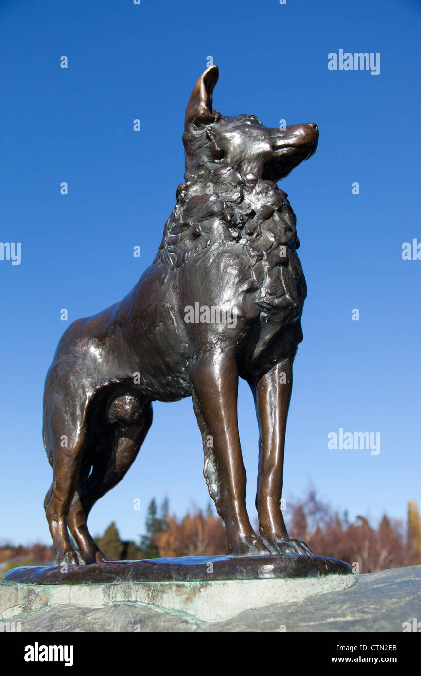 Sheepdog statue, Lake Tekapo Nouvelle Zélande Banque D'Images