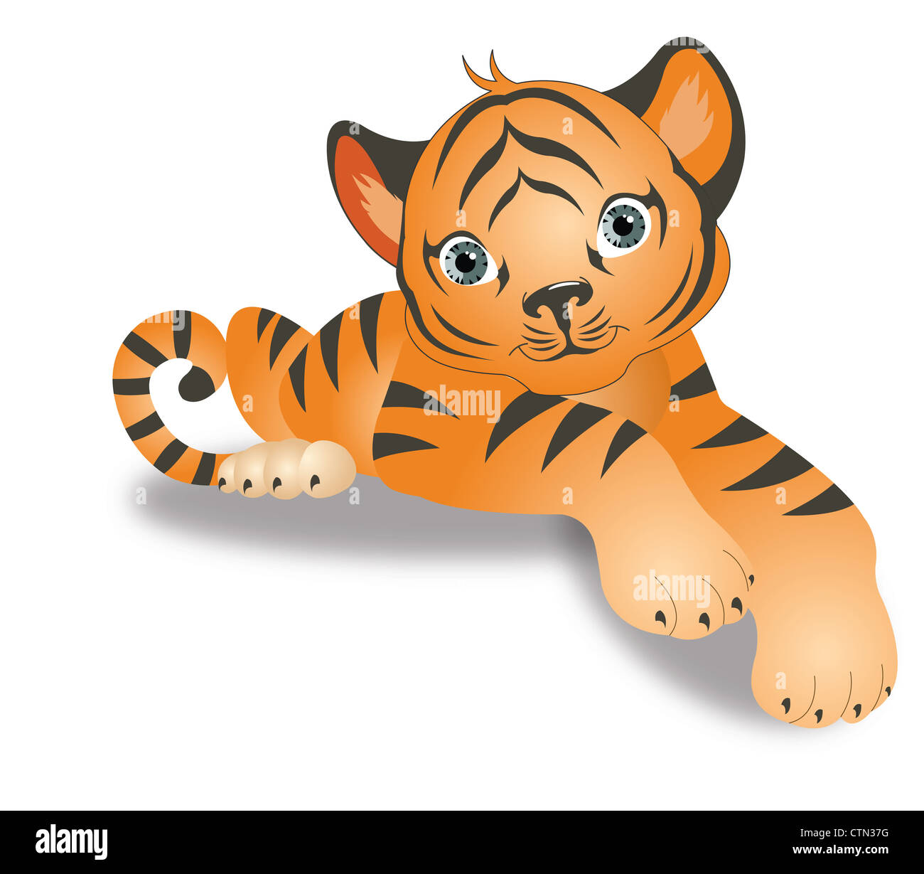 Tiger Cub, jeunes, Orange avec des rayures noires, vector illustration Banque D'Images Tiger Cub, jeunes, Orange avec des rayures noires, vector illustration Banque D'Images