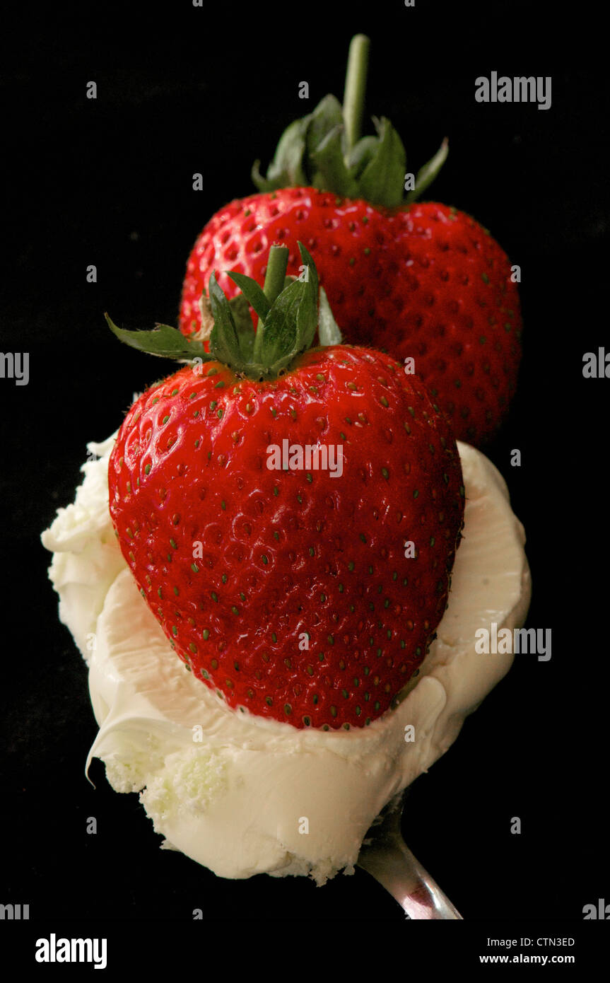Les fraises cultivées sur une cuillerée de crème caillée cornish Banque D'Images