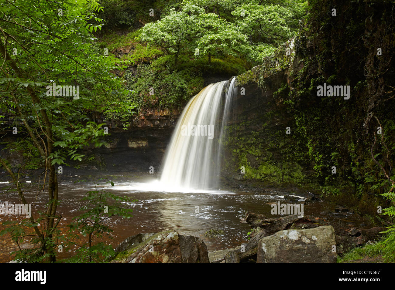 Sgwd Gwladys (Lady Falls) Pontneddfechan, Neath Valley, Pays de Galles, Royaume-Uni Banque D'Images