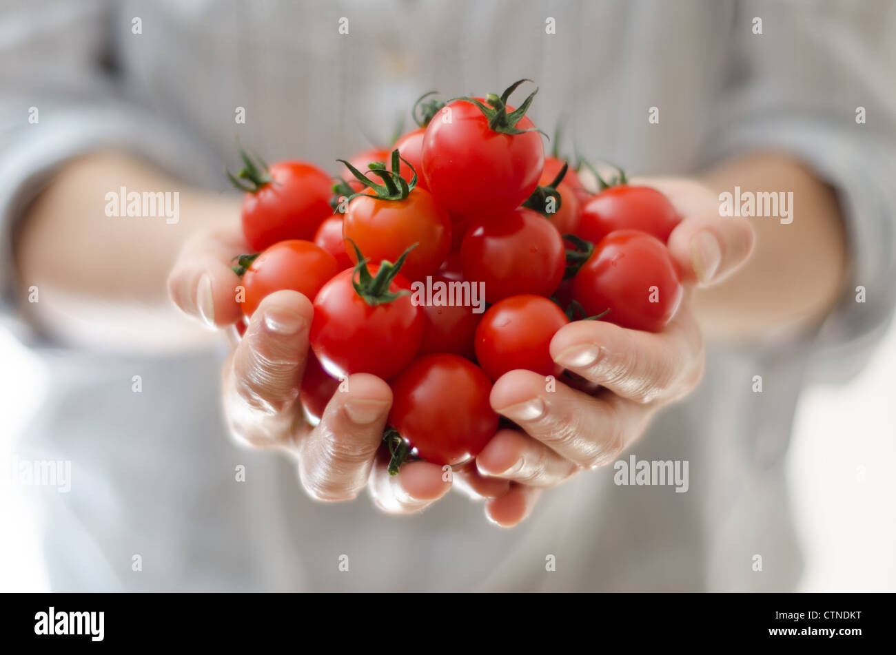 Quelques tomates cerises dans une main de femme avec un fond blanc. Banque D'Images