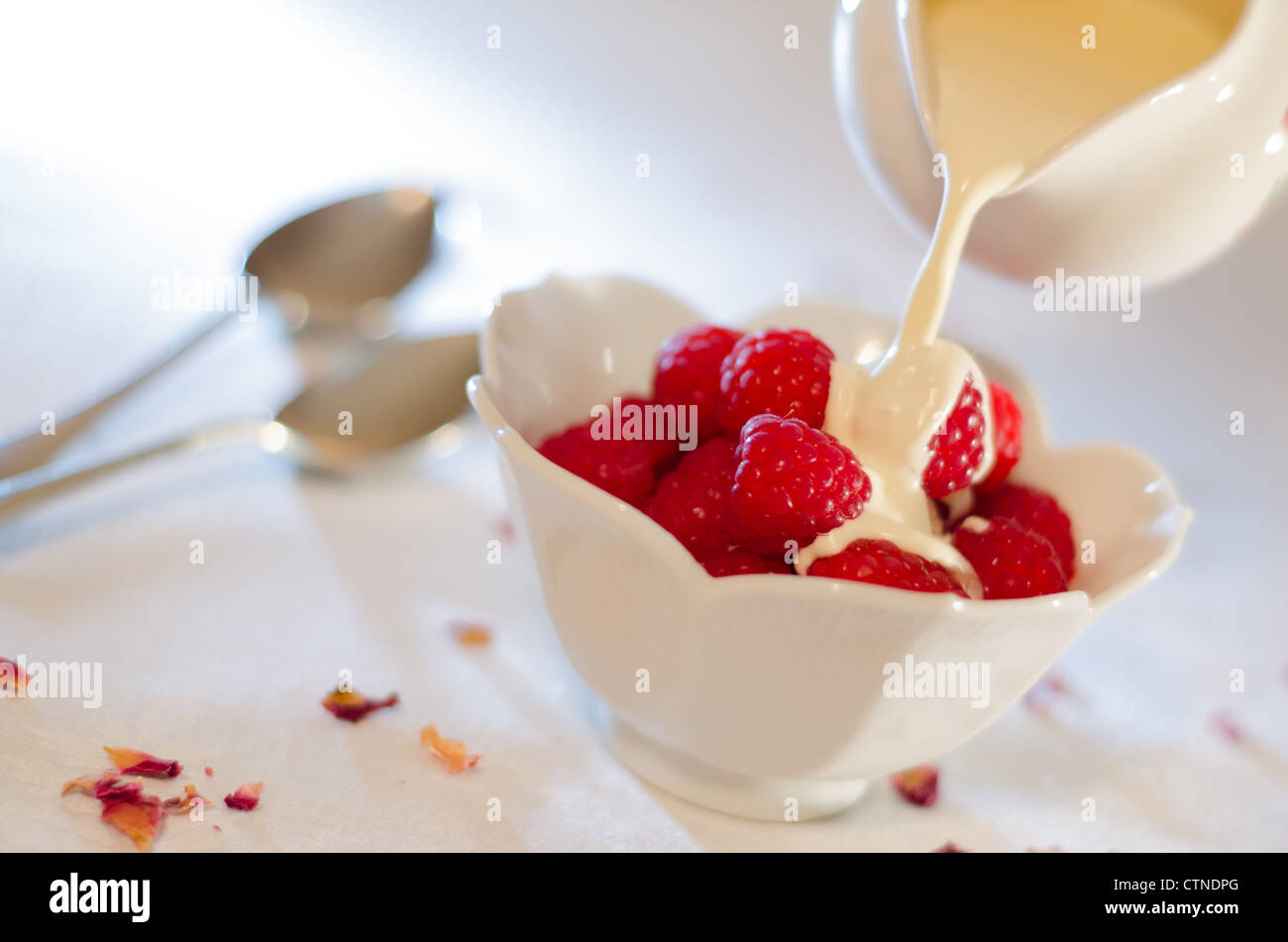 Framboises dans un bol blanc avec de la crème fraîche est versé sur eux d'une cruche dans une table lumineuse. Banque D'Images
