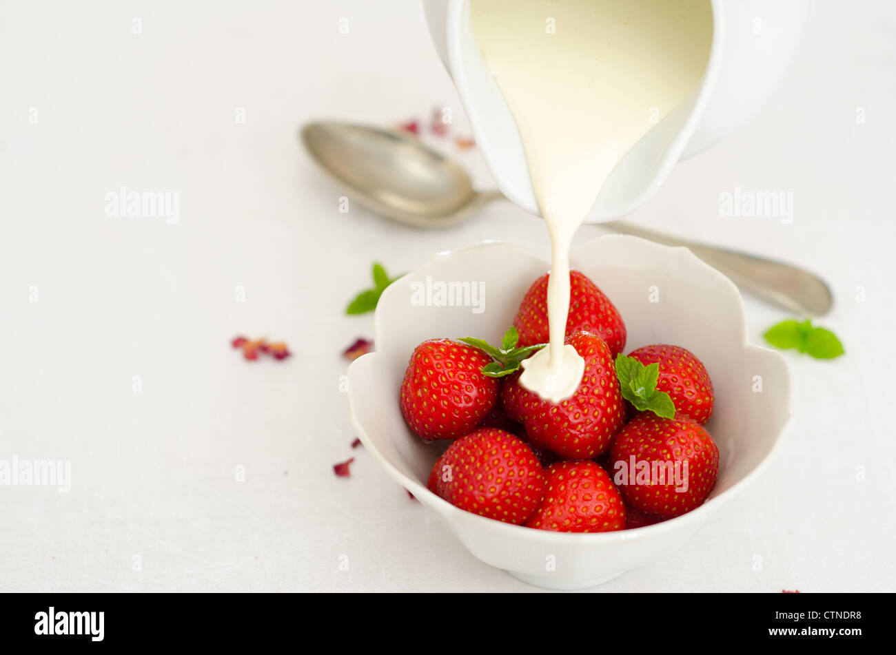 Les fraises dans un bol blanc avec de la crème fraîche est versé sur eux d'une cruche dans une table lumineuse. Banque D'Images