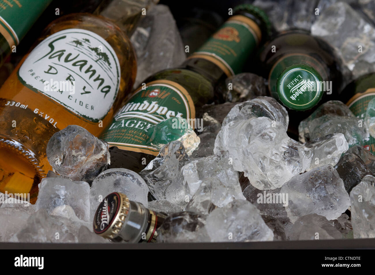 Les bouteilles de bière et de cidre au frais dans de la glace. Banque D'Images