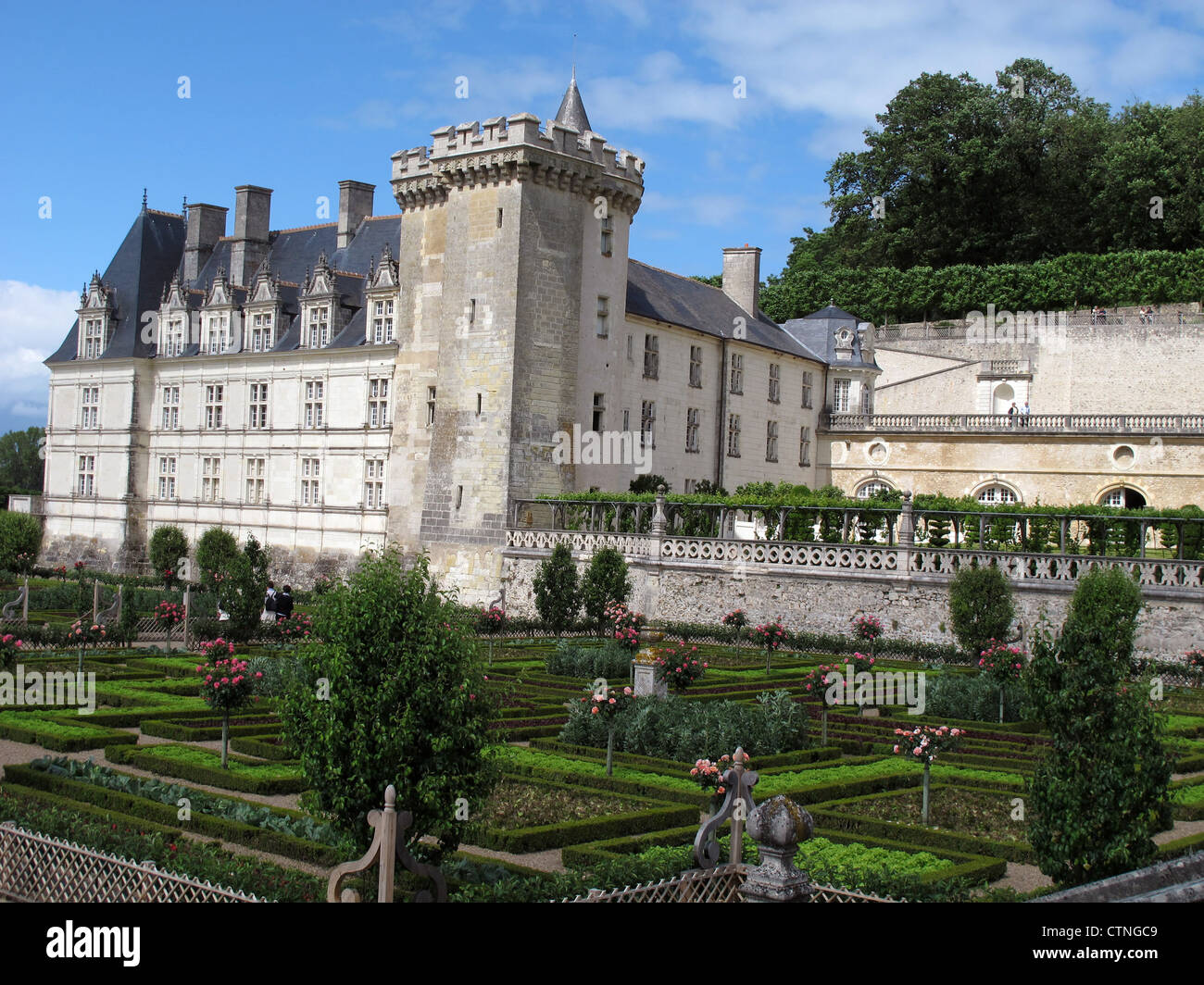 Chateau de Villandry,potager de Villandry, Indre-et-Loire, Touraine, France Banque D'Images