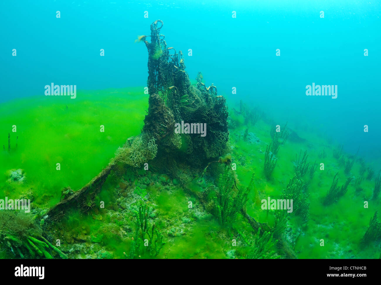 Grille de pêche jetée, Lac Baikal, Sibérie, Fédération de Russie, de l'Eurasie. Banque D'Images