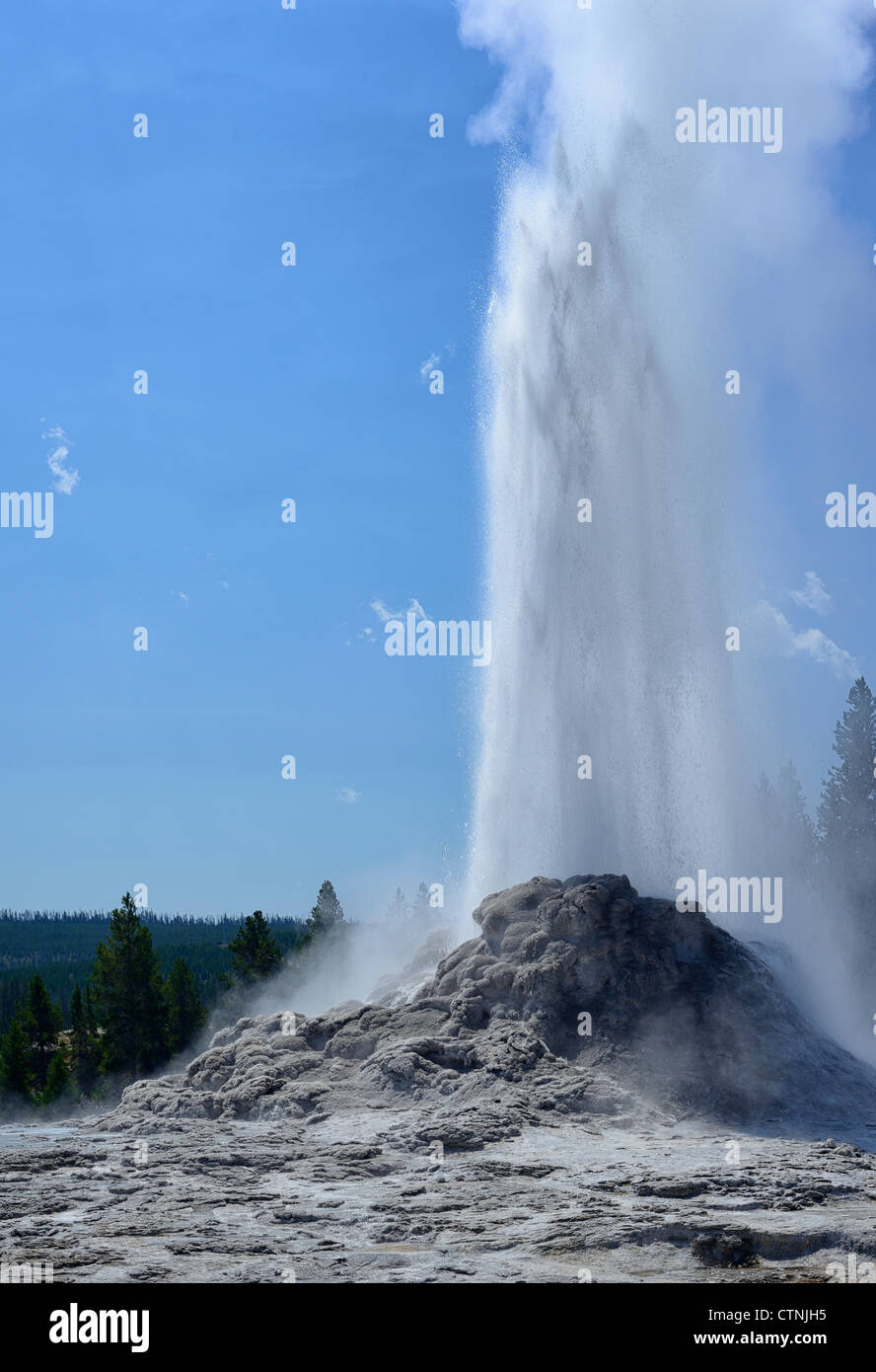 Château dans la région de geyser Geyser Basin, Parc National de Yellowstone, Wyoming, USA Banque D'Images