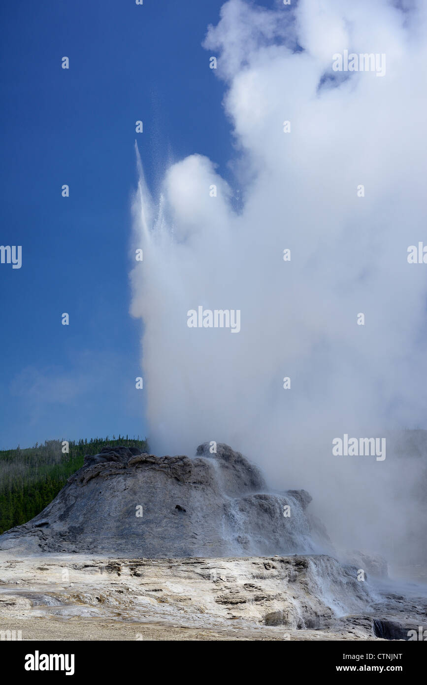 Château dans la région de geyser Geyser Basin, Parc National de Yellowstone, Wyoming, USA Banque D'Images