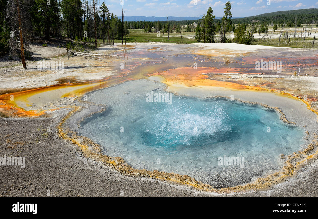 Firehole Firehole Lake Drive, printemps, Geyser Basin, Parc National de Yellowstone, Wyoming, USA Banque D'Images