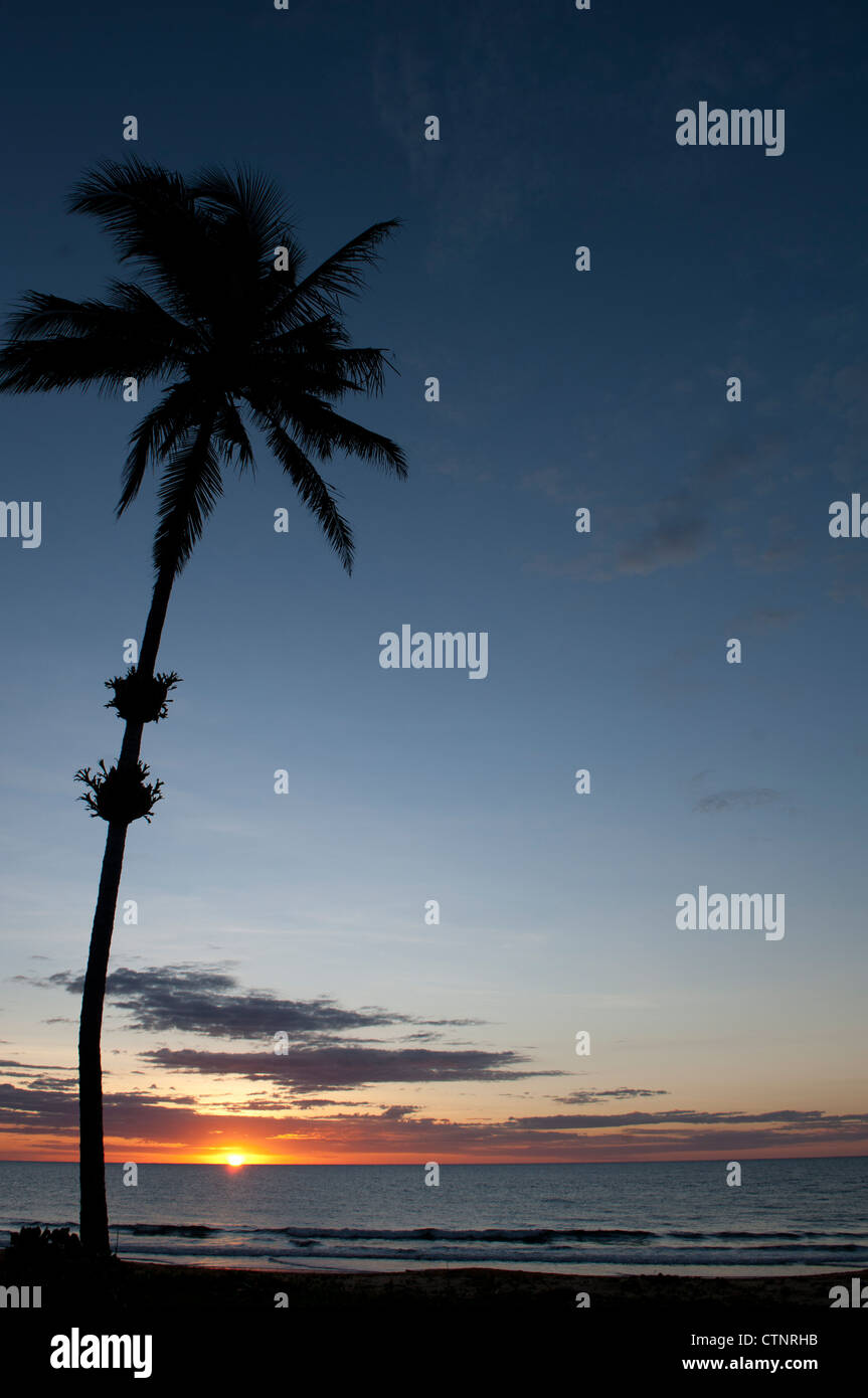 Lever du soleil à Wongaling beach, une section de Mission Beach, avec palm, Sports et loisirs, le nord du Queensland, Australie Banque D'Images