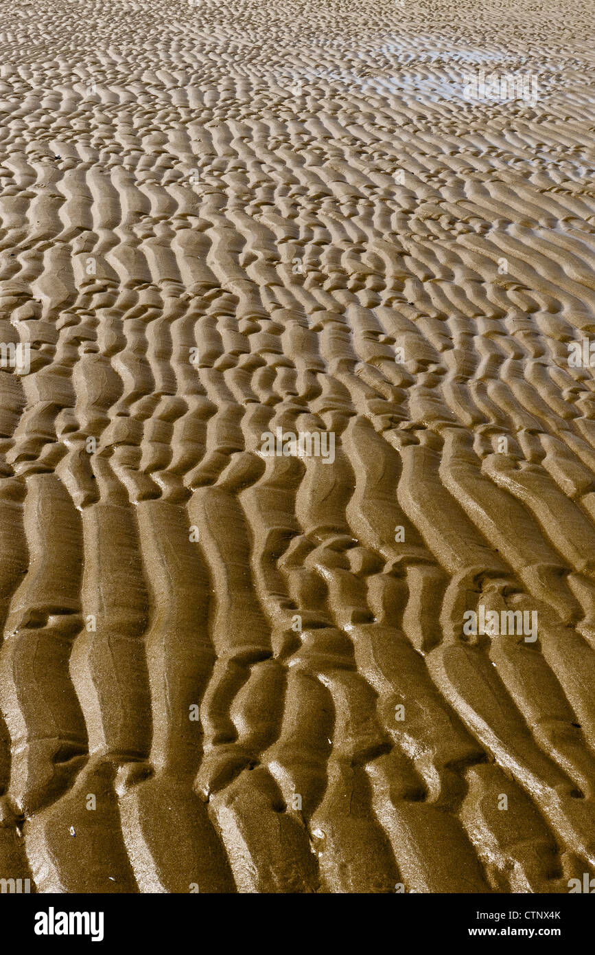 Ondulations dans le sable sur une plage dorée Banque D'Images