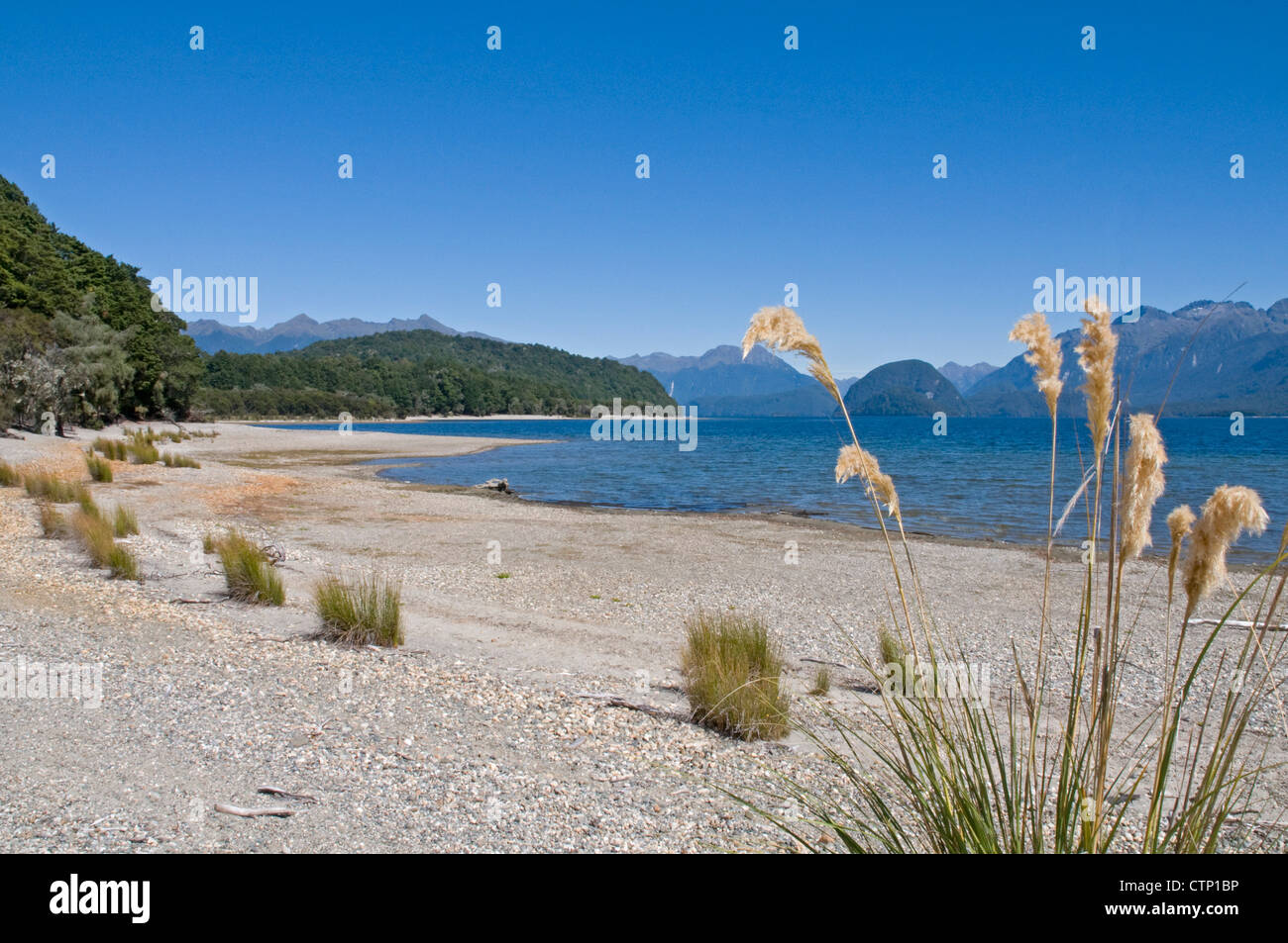 Baie peu profonde à la limite nord-est du lac Manapouri, Nouvelle-Zélande Banque D'Images