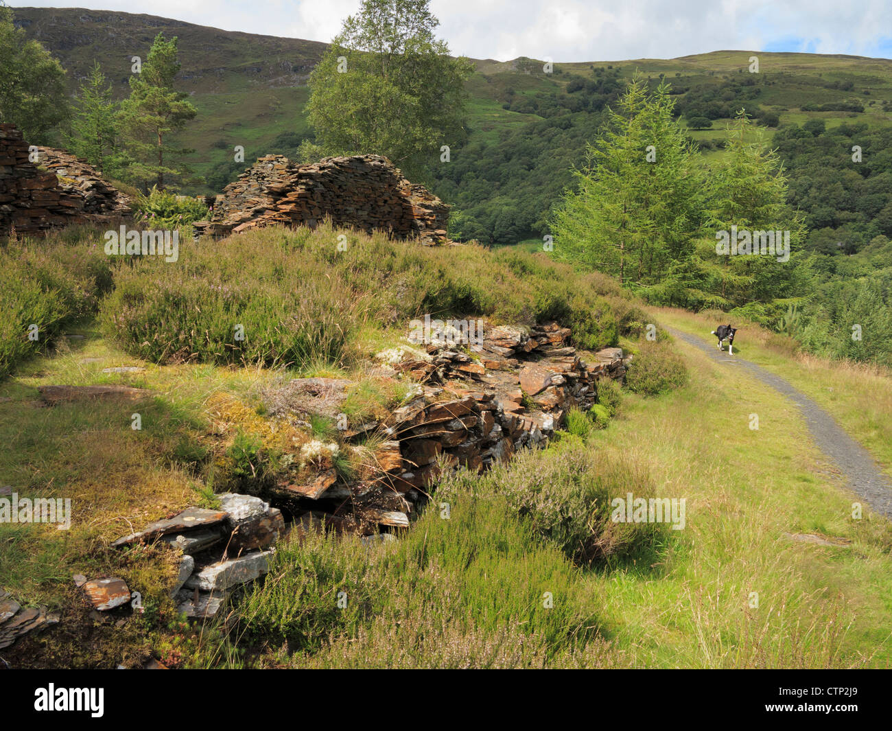 En chemin vieux bâtiments de la mine en ruine dans le parc national de Snowdonia près de Crafnant, Conwy, au nord du Pays de Galles, Royaume-Uni, Angleterre Banque D'Images