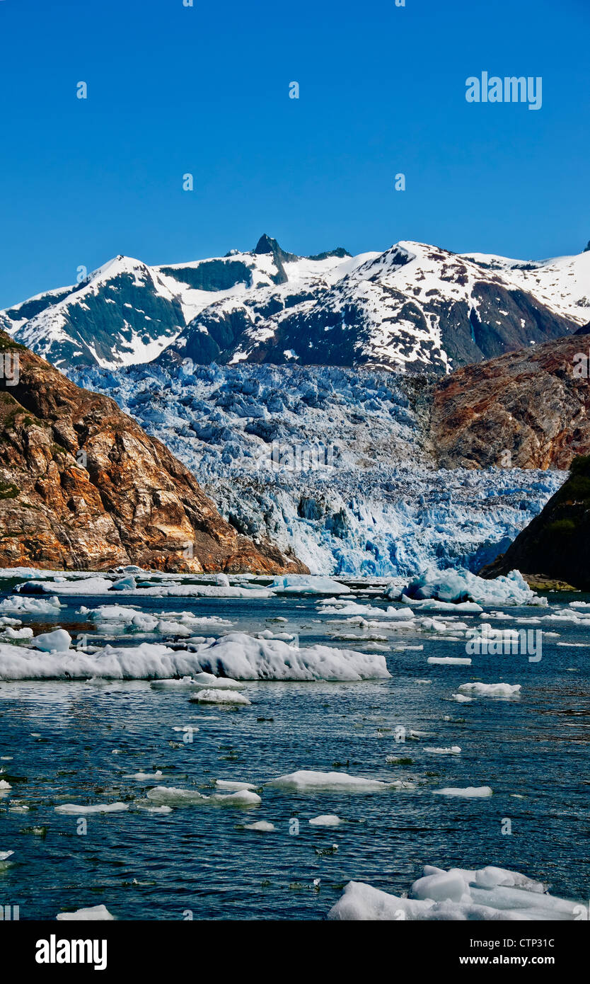 La glace d'été en face de float icebergs au sud du glacier Sawyer, Tracy Tracy Arm dans Arm-Fords Souhteast Terreur Désert, Alaska Banque D'Images