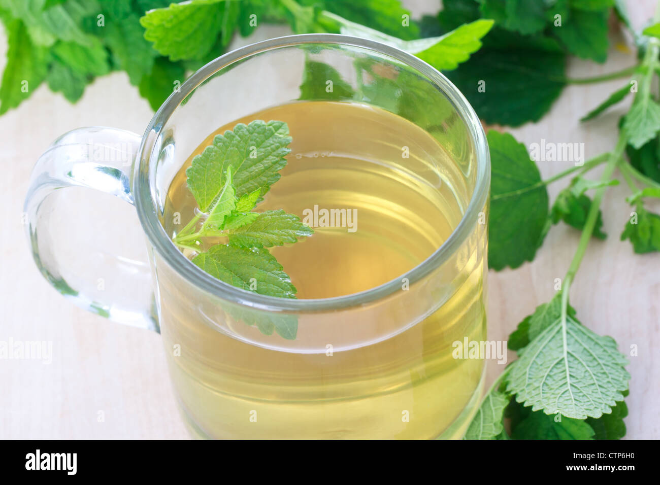 Le thé à la menthe avec des feuilles de menthe fraîche Banque D'Images