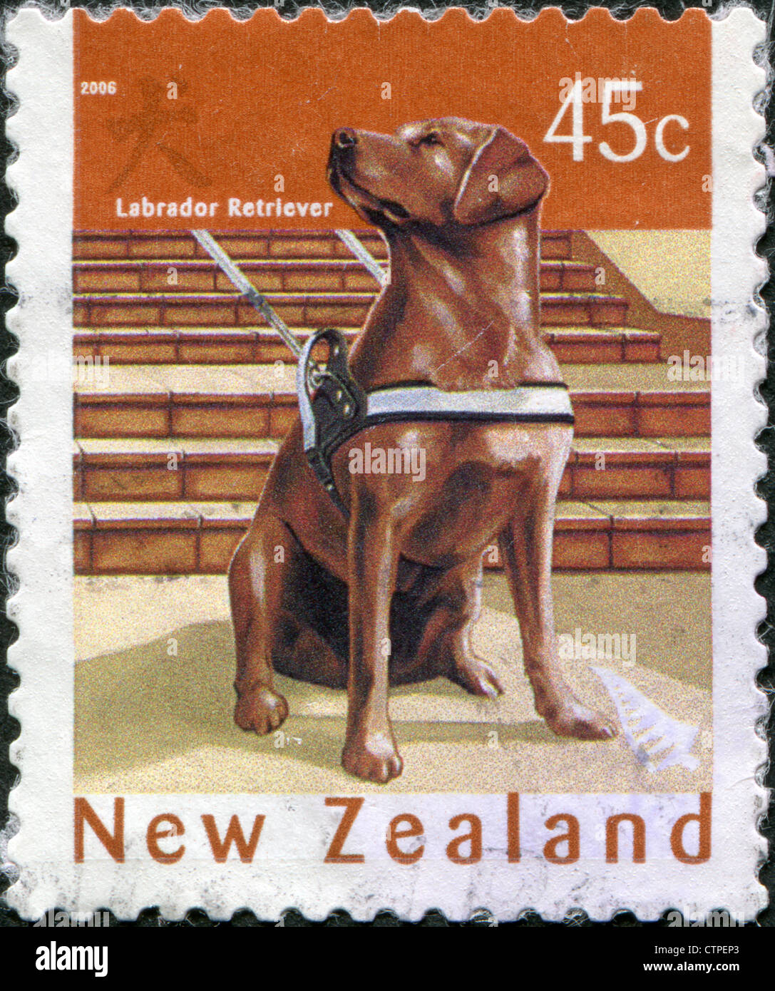 Timbres-poste imprimés en Nouvelle-Zélande, est dédiée à la nouvelle année 2006 (année du chien), montre un Labrador retriever, vers 2006 Banque D'Images