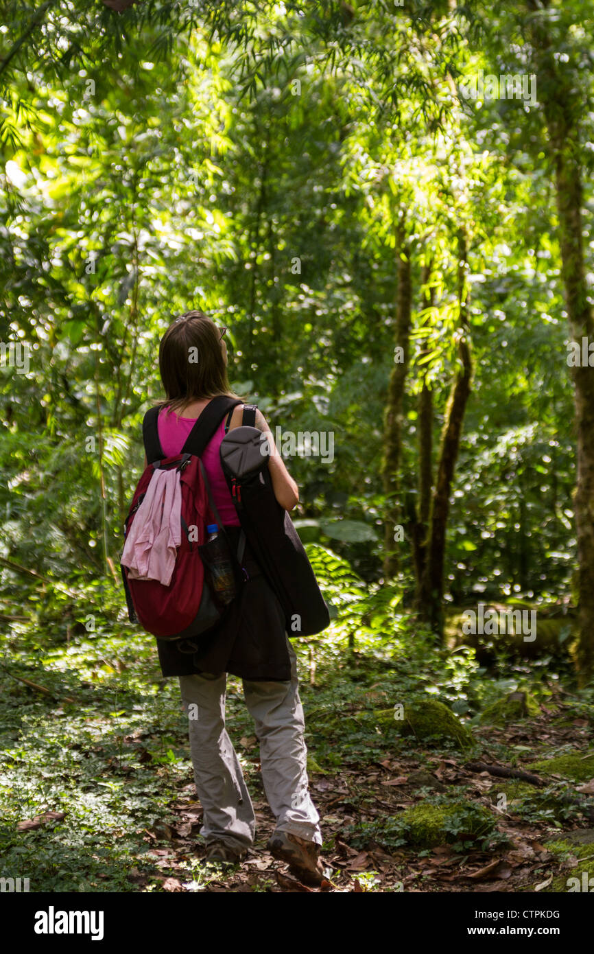 Randonnées et à quetzales sur le sentier à l'extérieur de Bajo Mono de Boquete, Chiriqui Province, au Panama. Banque D'Images