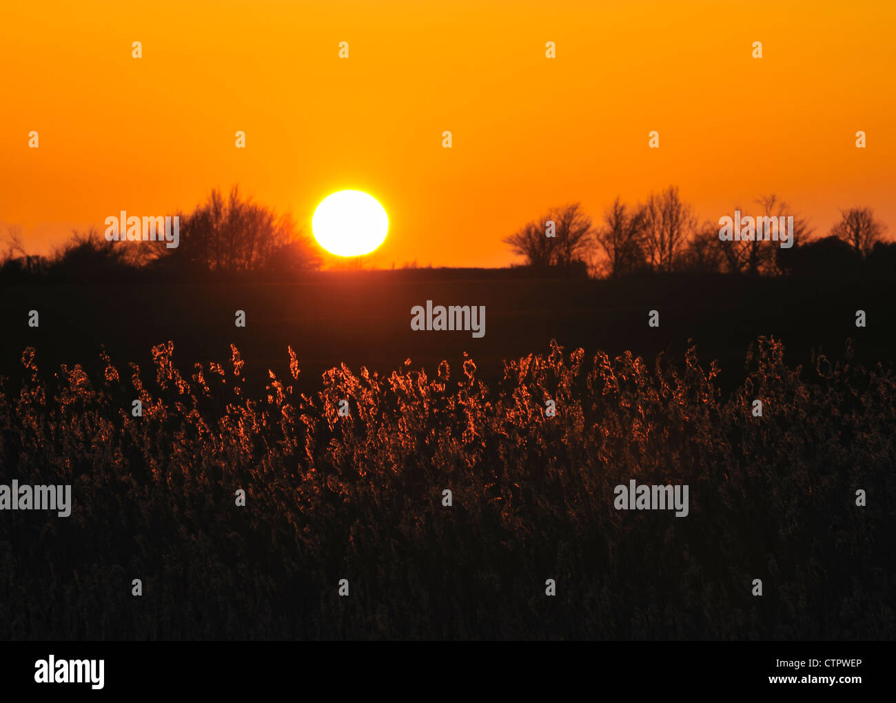 Coucher du soleil dans l'île de Mersea, UK Banque D'Images