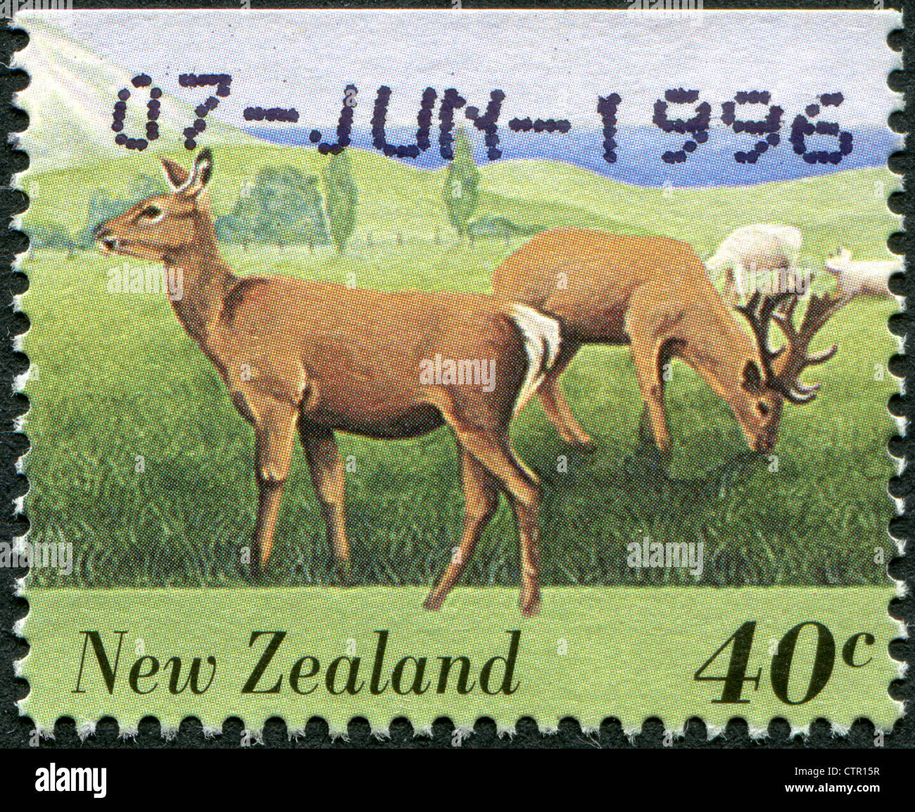 Nouvelle Zélande - circa 1995 : timbre imprimé en Nouvelle-Zélande, montre des animaux de ferme - Deer, circa 1995 Banque D'Images